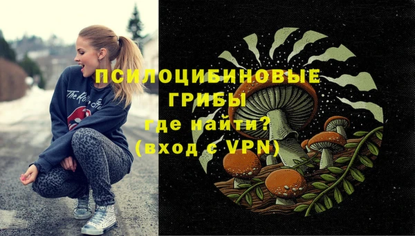 ешки Абинск