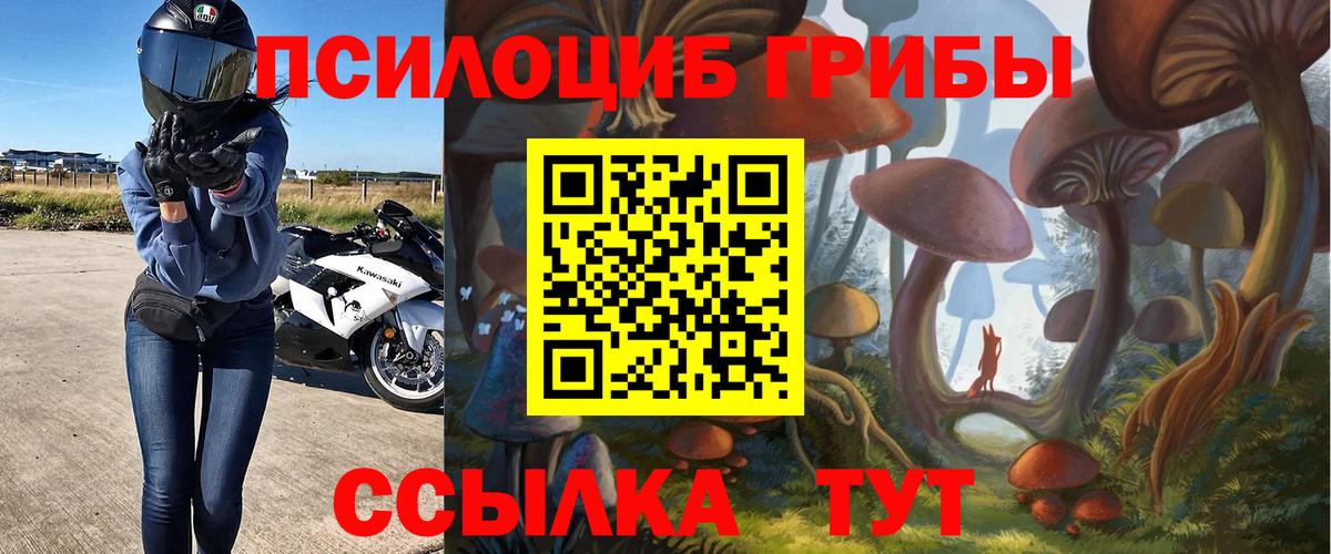 Галлюциногенные грибы мицелий  Вход с VPN  Мурино 